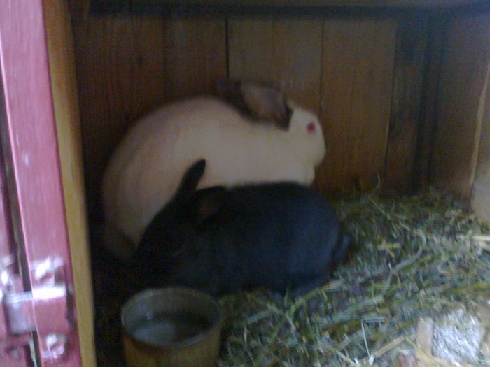 Foto3726