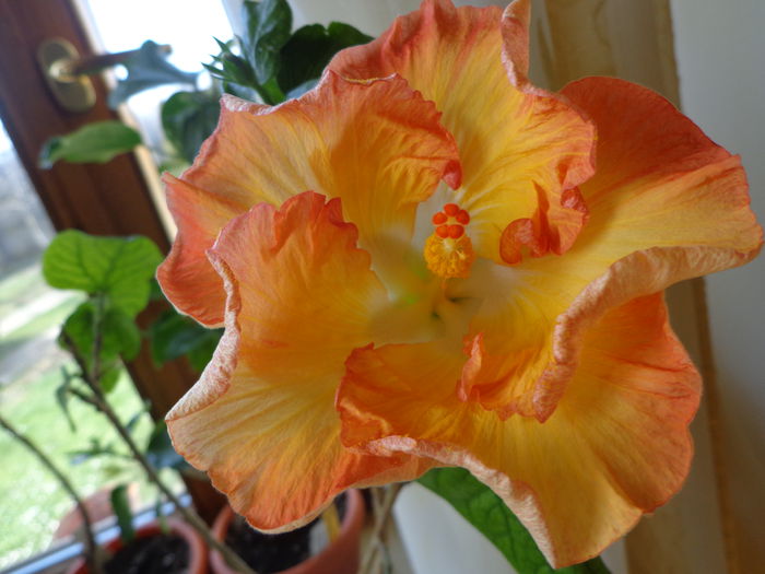 DSC06385