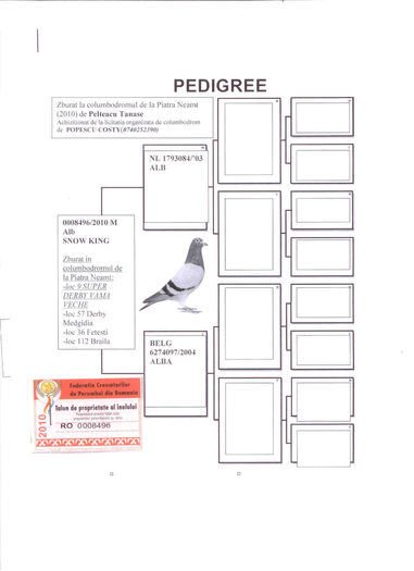 pedigree 8496