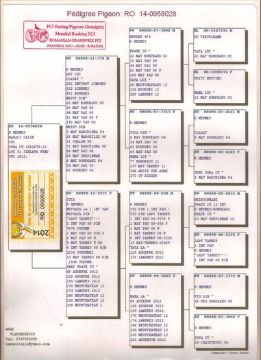 RO 958028 -2014 F pedigree