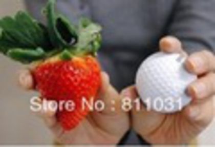 Hot-selling-50pcs-red-fruit-strawberry-seeds-bonsai-seeds-DIY-home-garden-free-shipping.jpg_120x120 - Comanda stoloni Albion montery pt apriliePret stolon 1 leu