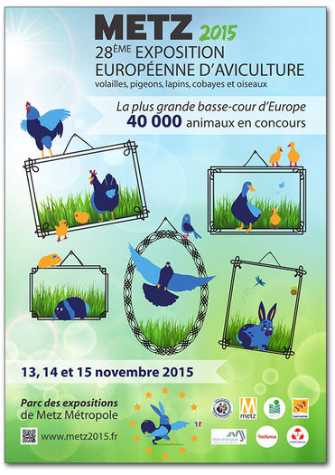 affiche-expo-Metz - CAMPIONATUL EUROPEAN METZ 2015