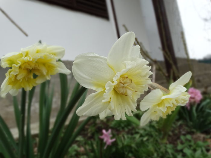 30.03.2015