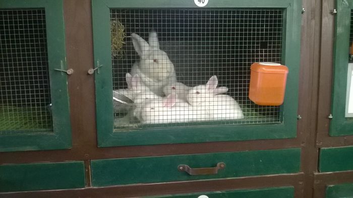 Crescatoria Weikamp - Achizitii noi Martie 2015 Germania