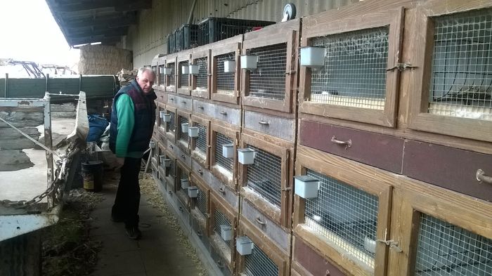 Custile Urechiatilor si Bohne - Achizitii noi Martie 2015 Germania