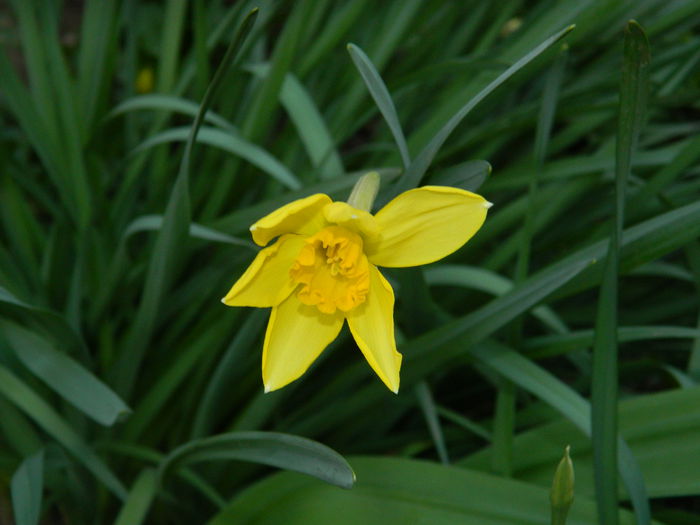 DSCN2845