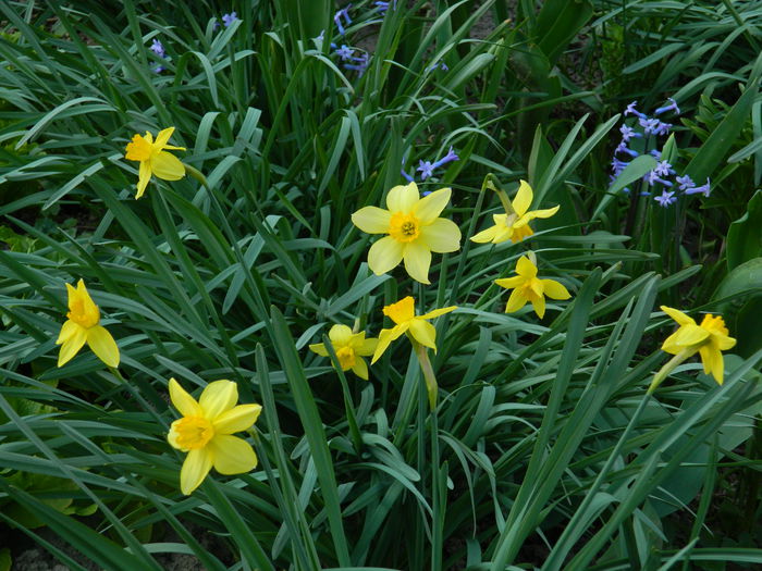 DSCN2846 - 2015_MARTIE_2