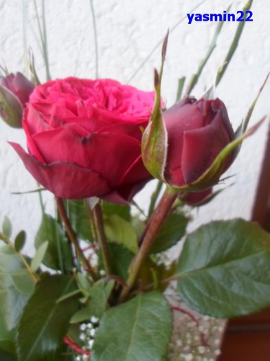 210 martie 2015 - Z-Buchete