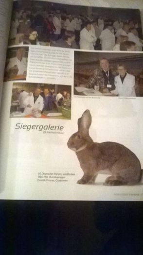 O publicatie intr-o revista cu iepuri domnului Kremer