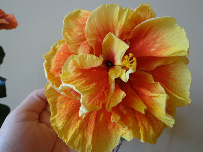 DSC05405