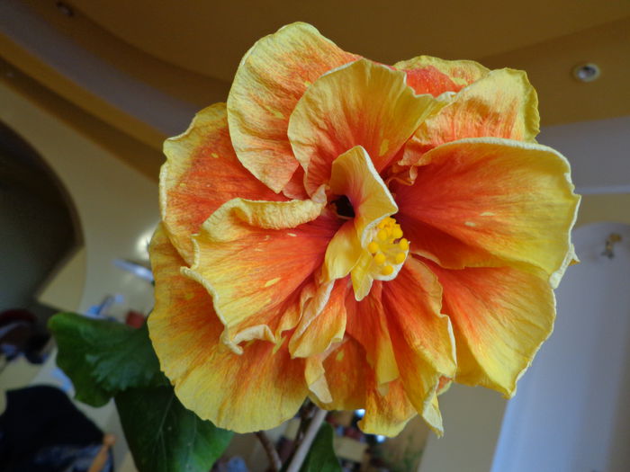 DSC05412