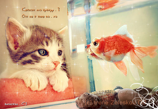 0038576733 - Pose Artistice