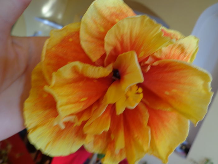 DSC05413