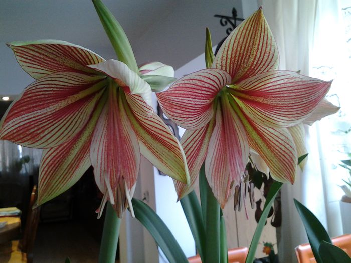 20150401_110000