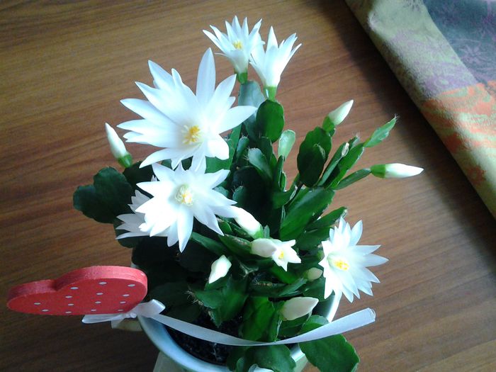 20150401_110225