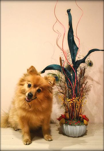 received_917042935014213