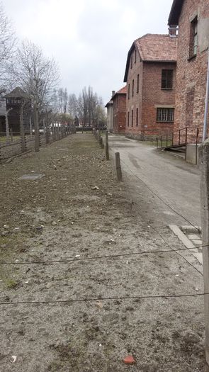 20150328_121555 - Slovacia-Polonia