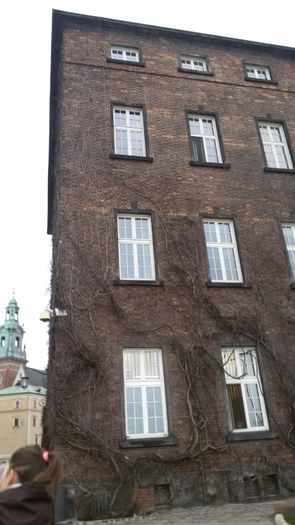20150328_170453 - Slovacia-Polonia