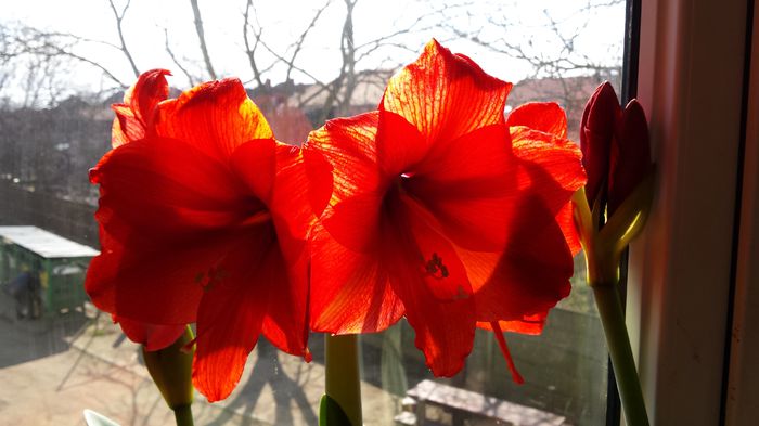 041