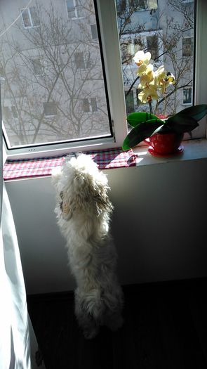 DSC_0805 - Fritz  Bella  Mimi