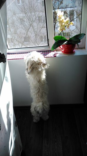 DSC_0806 - Fritz  Bella  Mimi