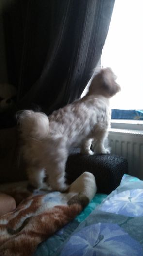 DSC_0726 - Fritz  Bella  Mimi