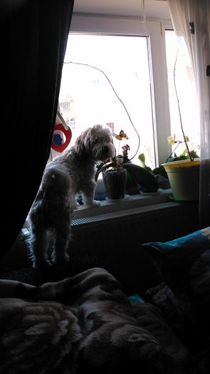 DSC_0748 - Fritz  Bella  Mimi