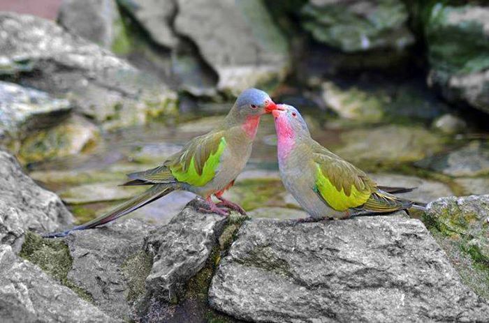  - FRUMUSETI  MONDIALE