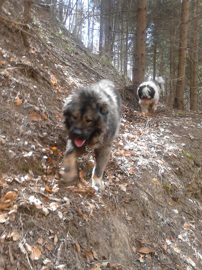 IMG_20150404_141119_1