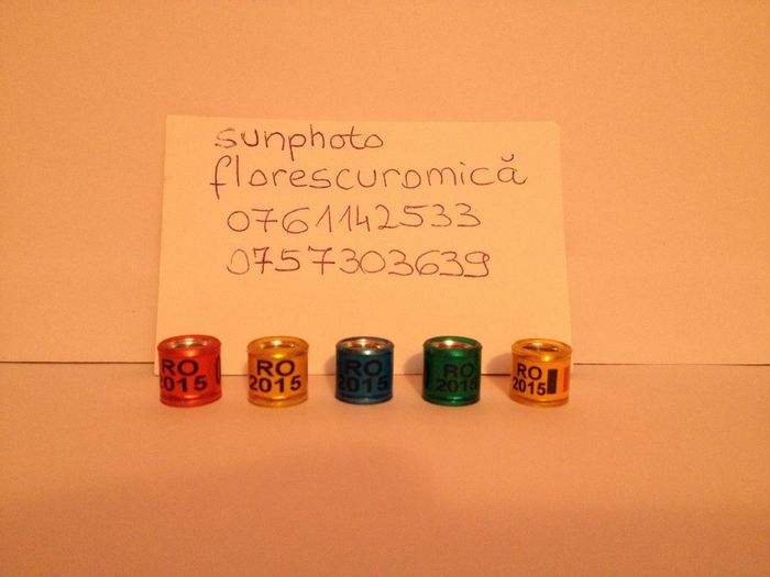 Inele Tari Straine 2015 - 00001 Inele Porumbei 2018Tari Straine Colectie