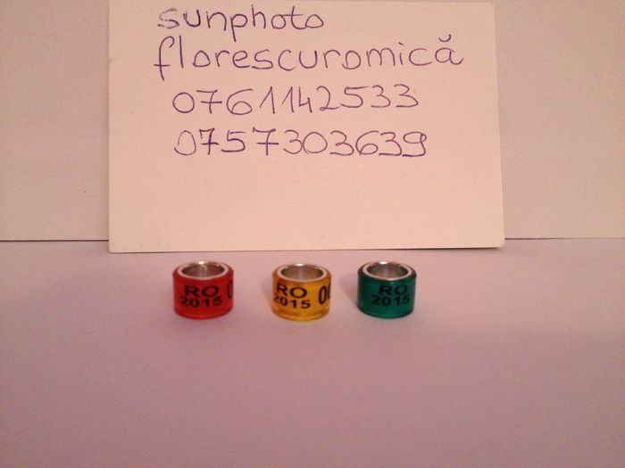 Inele Tari Straine 2015