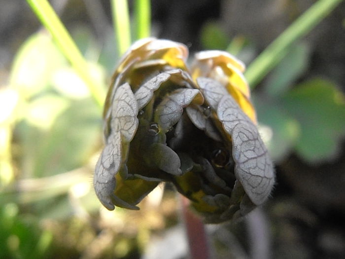P3250169
