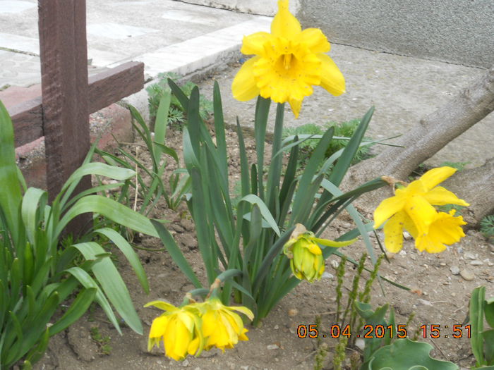 DSCN4125