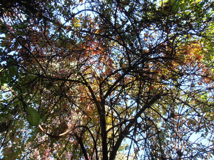 PA090297