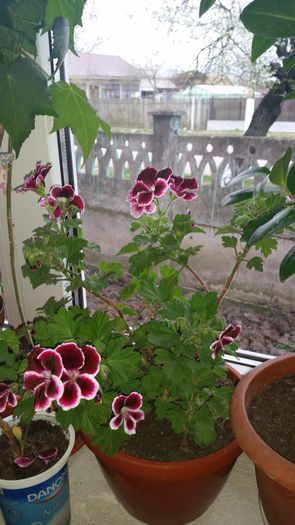 20150405_174847