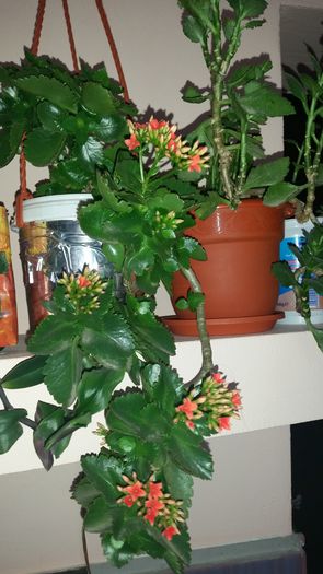 20150405_174726