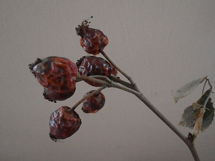 P3050021