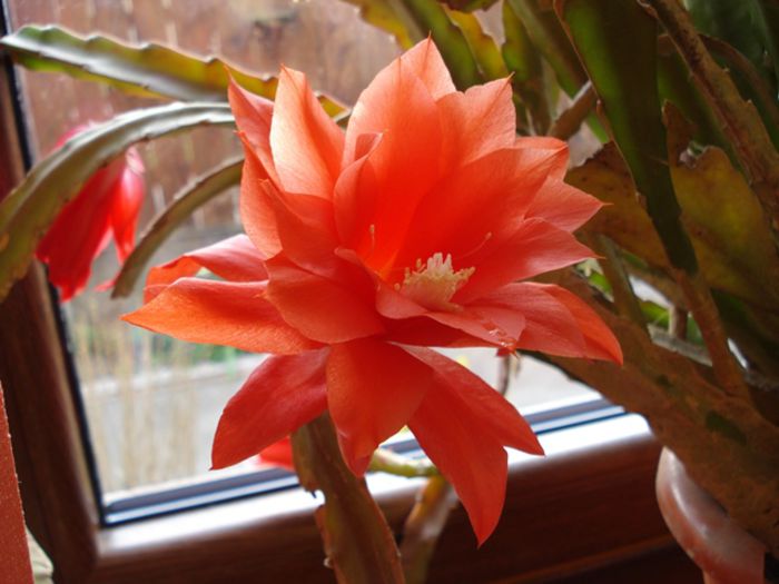 grabitul epi - b 2015 - in interior