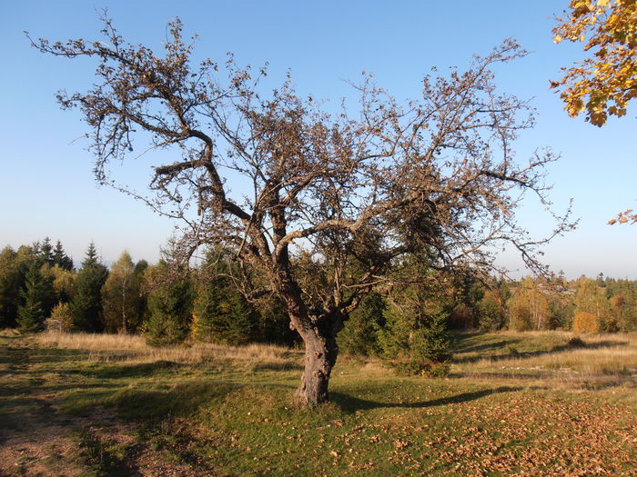 PA110489