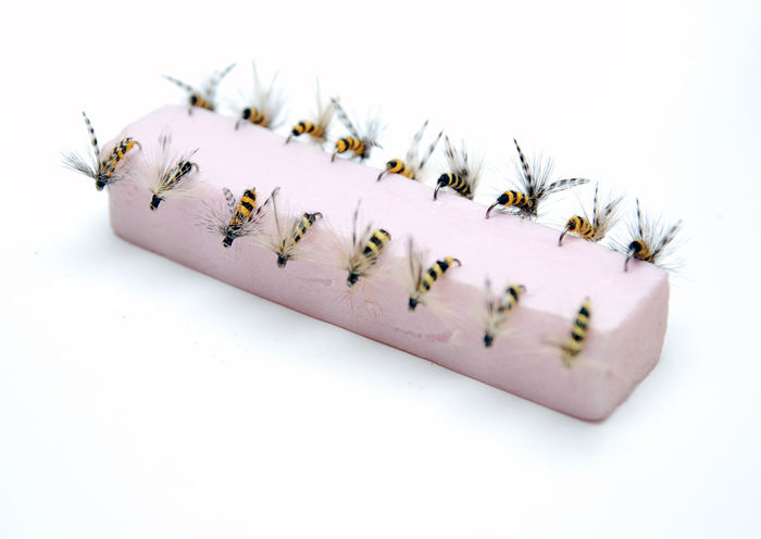 Muste viespi si albine 3; Albine si viespii
