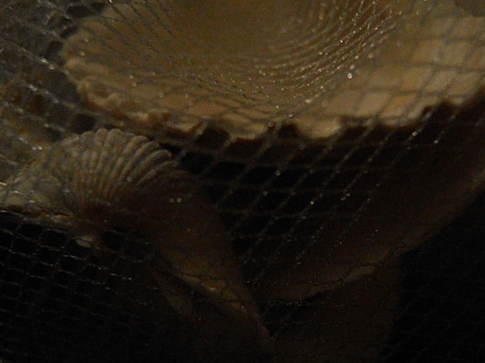 P3040155