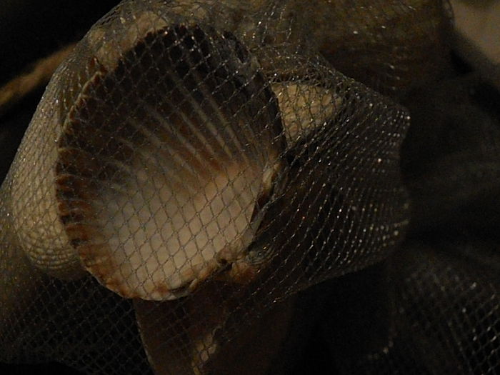 P3040188