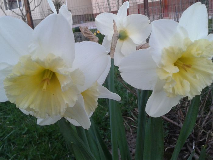 20150404_193255