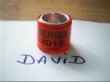 2015-SERBIA