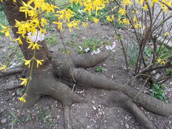 P3240057 - CALEIDOSCOP