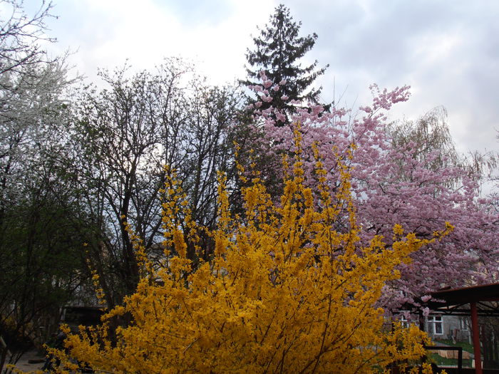 P3240072