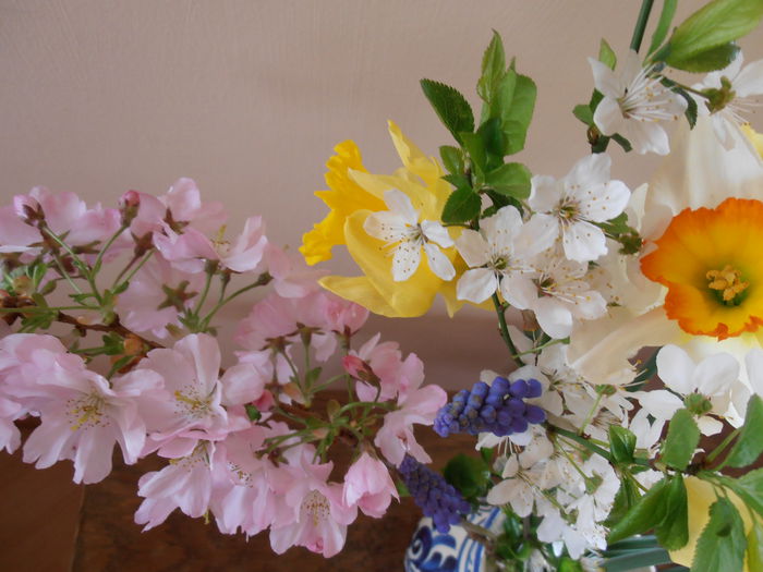 P3250175 - CALEIDOSCOP