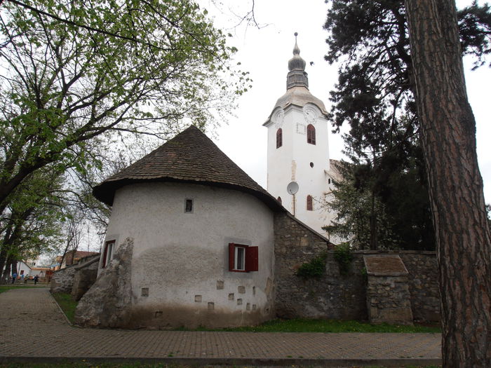 P4060013 - CALEIDOSCOP