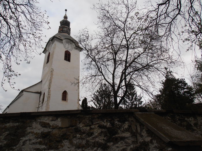 P4060017 - CALEIDOSCOP