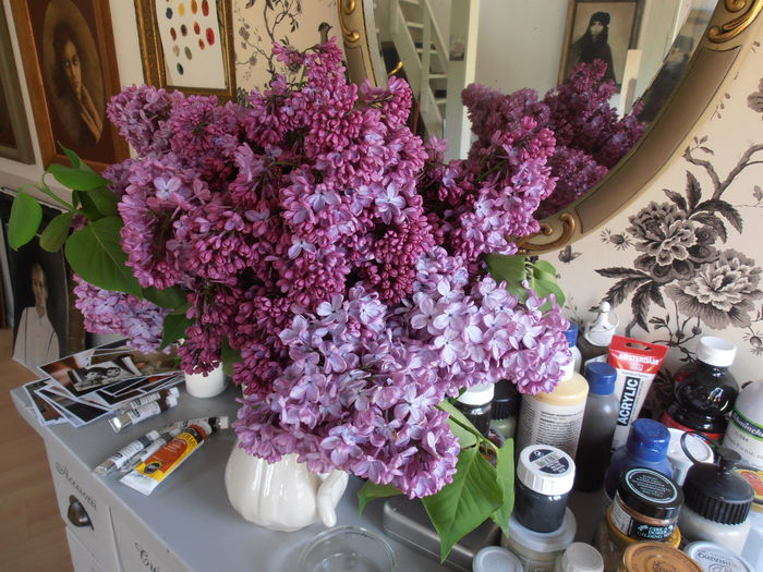 P5080291 - CALEIDOSCOP